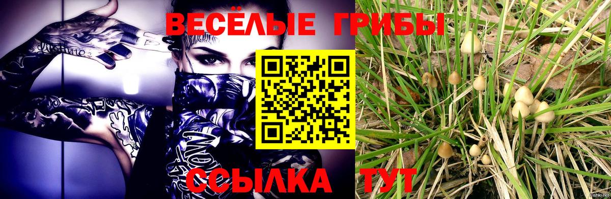 Псилоцибиновые грибы мицелий  Вход с VPN  Людиново 